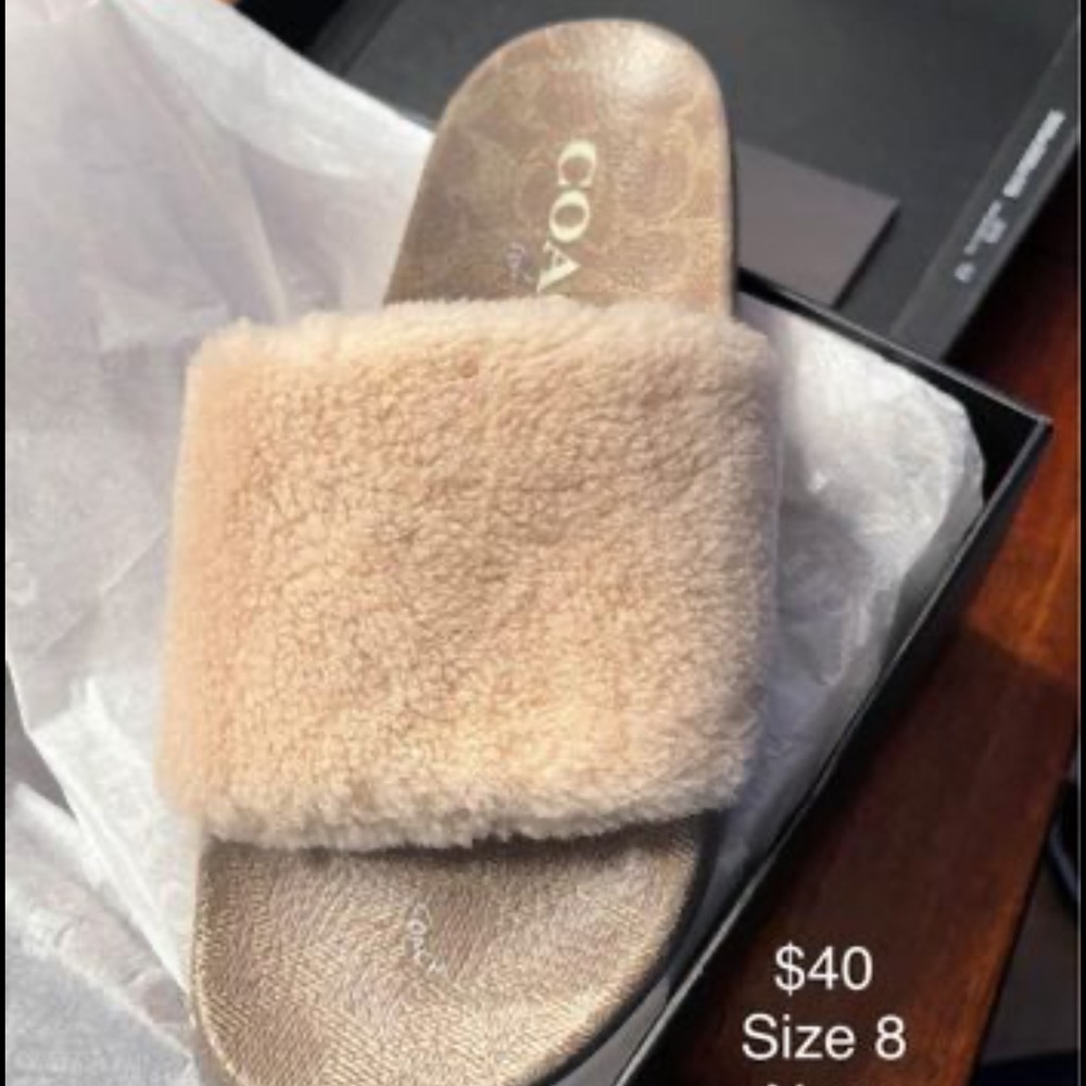 Coach Slides